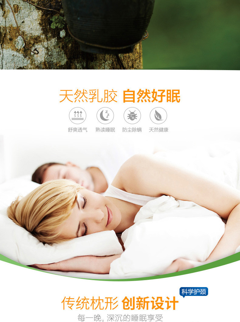 Laytex 泰国原装进口乳胶枕TPS   标准枕/高枕/中老年枕
