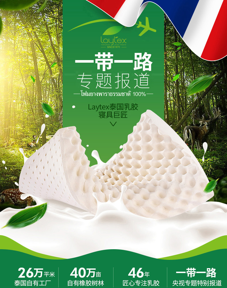 Laytex 泰国原装进口乳胶枕 TPXC    护颈颗粒按摩高枕 大号