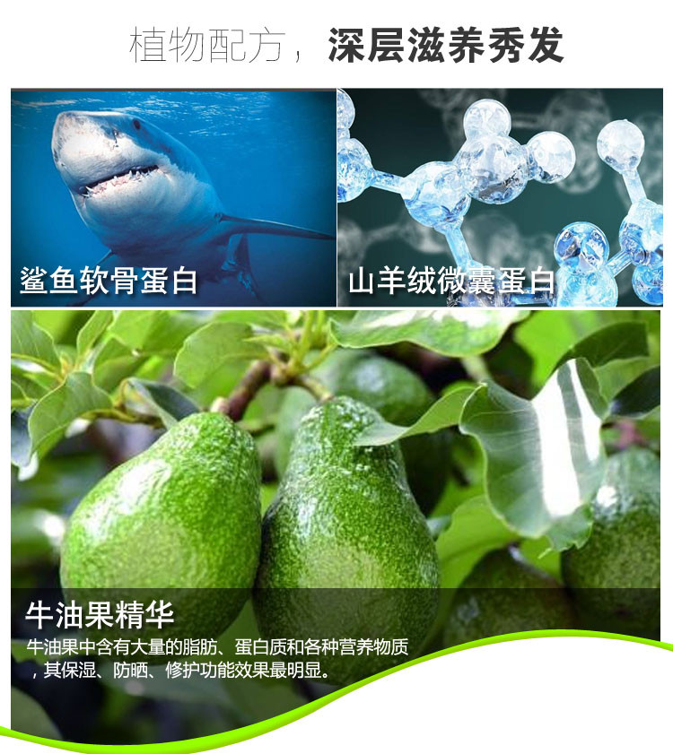 姜力 4号无硅油 生姜生发控油去屑护发素280ml