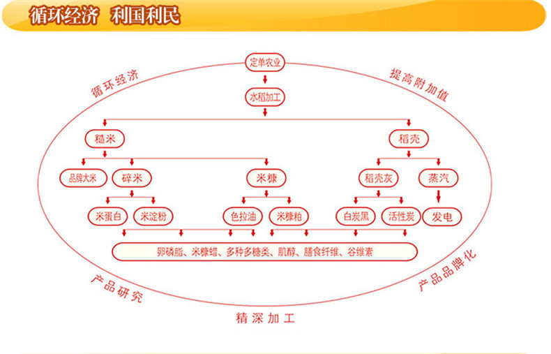 【家有粮油】仅售28.5元包邮！金龙鱼南方大米清香丝苗米 大米2.5kg 优质籼米 丝滑爽口 新货