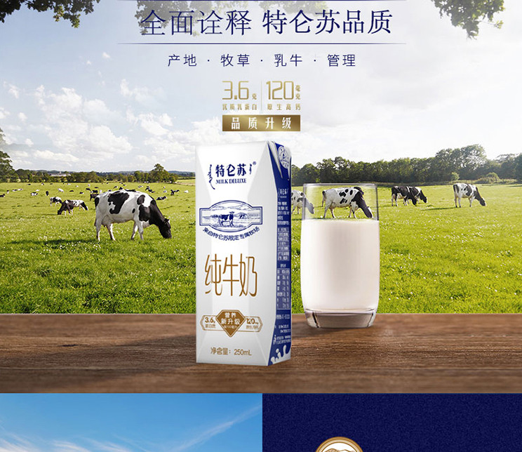 【赣州馆】特仑苏纯牛奶250ML*12盒 十年经典 专属牧场 品质升级