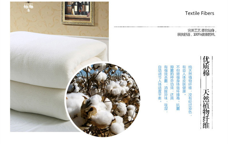 精新手工棉花被子新疆冬被棉胎棉被220*240/10斤