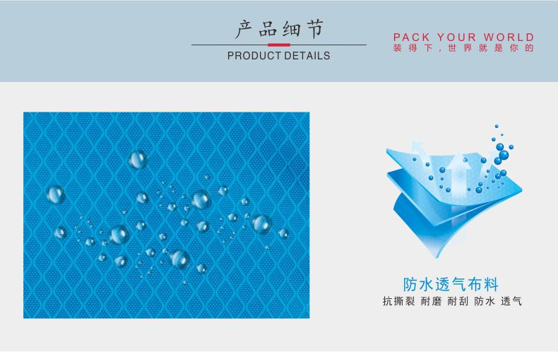 爱华仕OIWAS 防水尼龙轻盈便携旅行双肩背包 OCB4639 （1）