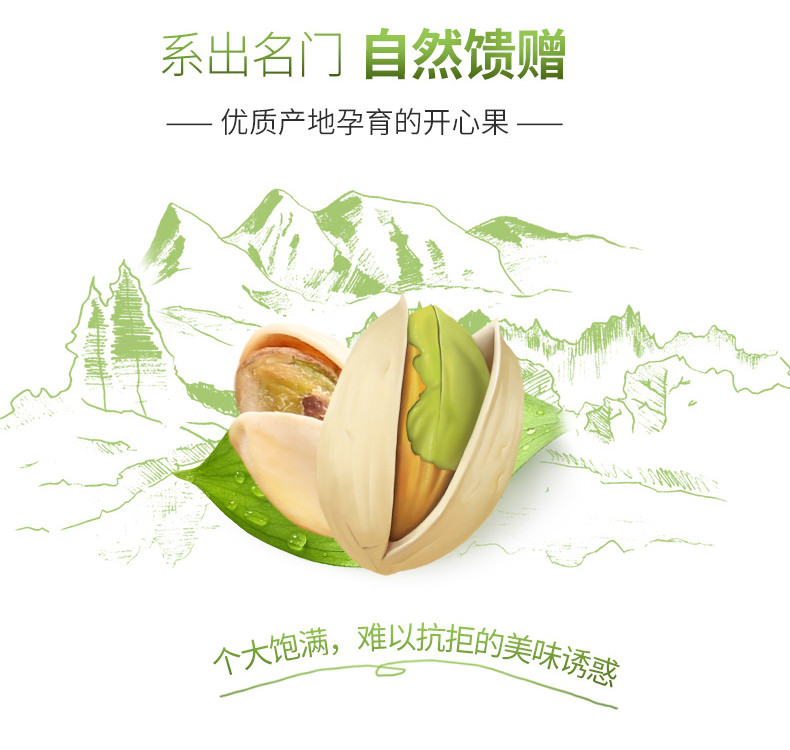 楼兰蜜语_开心果200gX2袋】特产干果零食开心果无漂白坚果