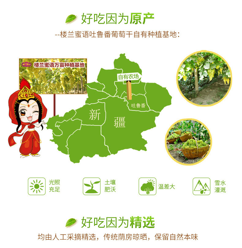 【楼兰蜜语_金凰后葡萄干225gX3袋】新疆特产无核树上黄大葡萄干