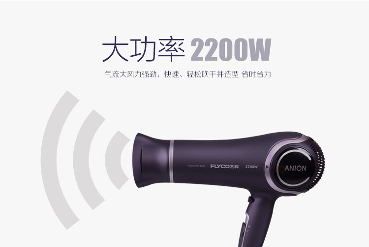 飞科大功率电吹风机专业发廊家用负离子恒温静音风筒2200W