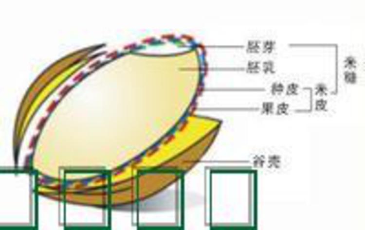 冉龙四级稻米油5L