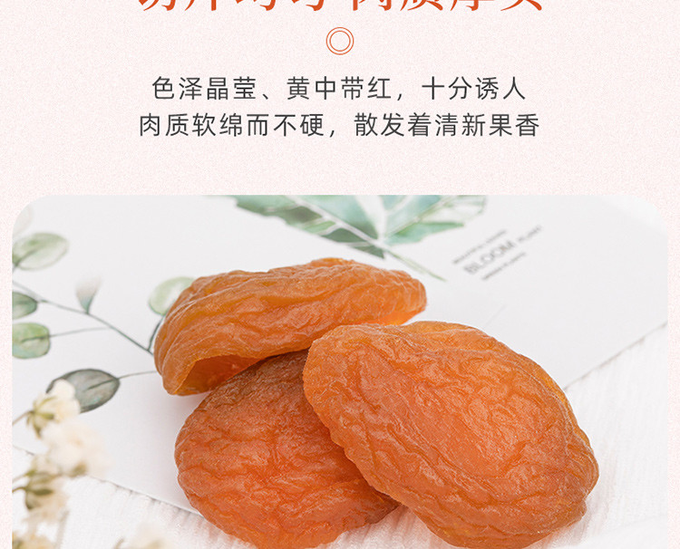 新农哥 休闲食品 蜜饯果干 红杏干100g