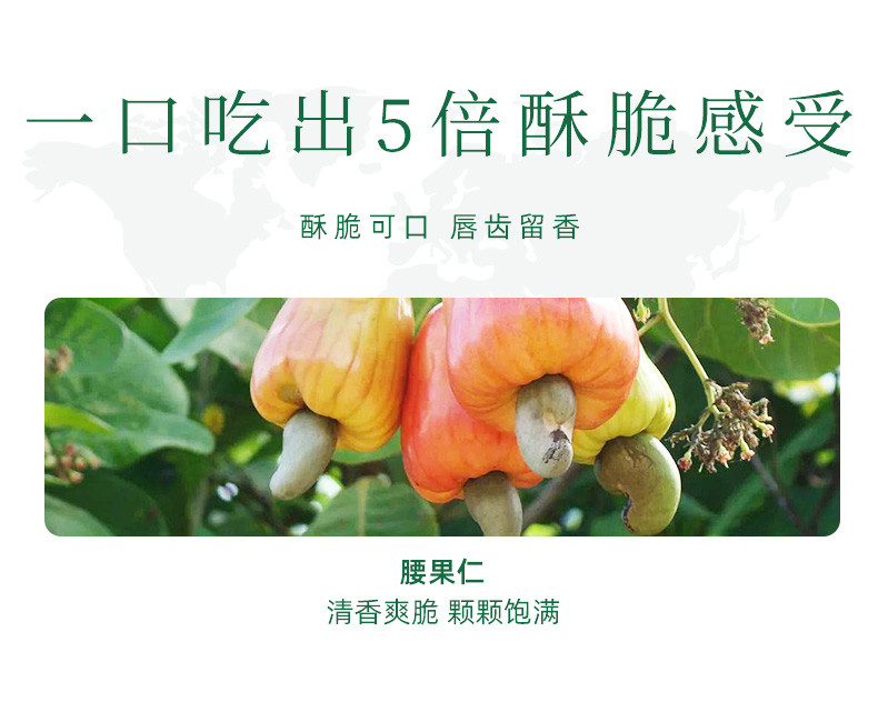 新农哥 纯坚果原味混合果仁500g每日果仁孕妇儿童即食原味果仁