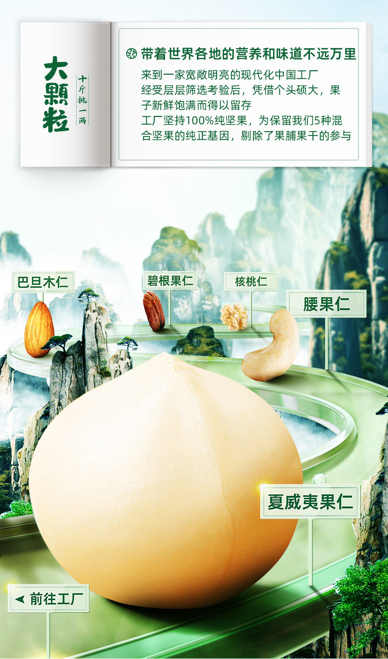 新农哥 坚果炒货大颗粒每日坚果混合果仁500g