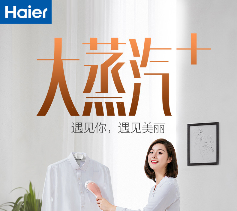 海尔/Haier 挂烫机 1.8L 单杆 家用手持/挂式电熨斗HY-GD1802FG