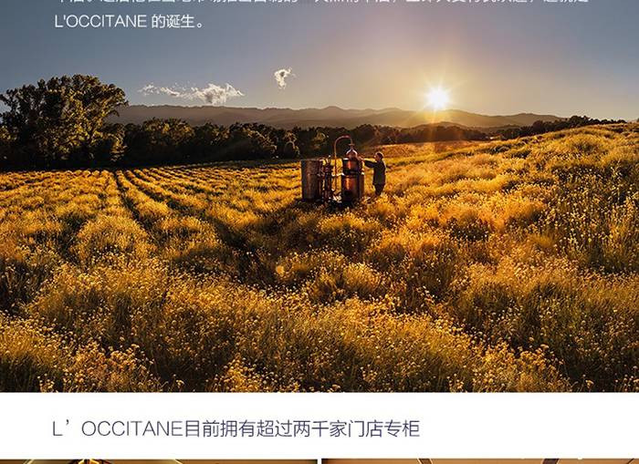 欧舒丹/L&apos;OCCITANE  焕亮美白水凝霜50ml