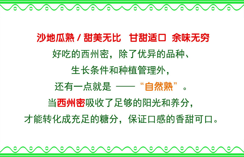 【北京馆】【邮政农品】西州密25号哈密瓜9-10斤