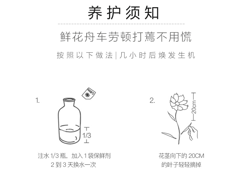 【北京馆】 粉红春晖 母亲节系列