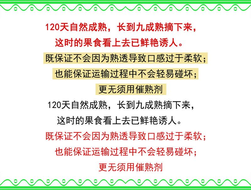 【北京馆】【邮政农品】西州密25号哈密瓜9-10斤