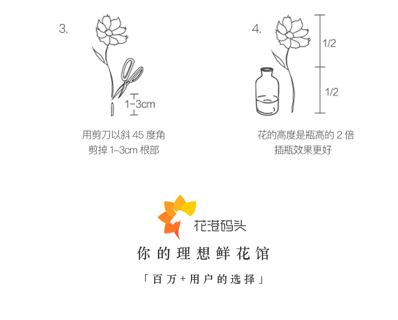 【北京馆】 粉红春晖 母亲节系列