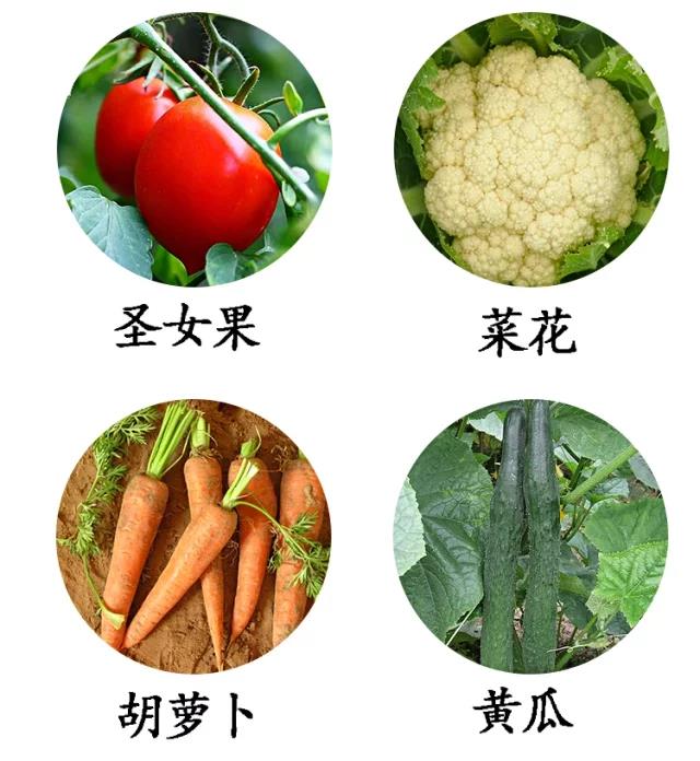 【北京馆】北京顺义本地蔬菜礼盒  十三斤  仅限北京地区购买
