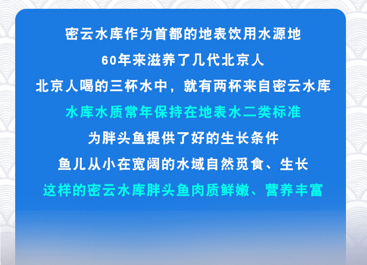 【北京馆】密云水库胖头鱼 约15斤