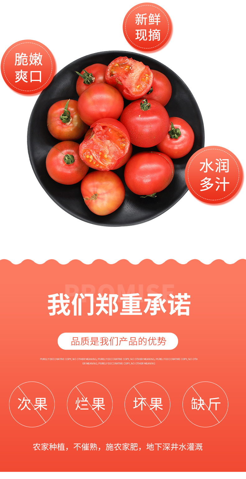  【北京优农】密之蓝天密云本地原味番茄   邮政农品