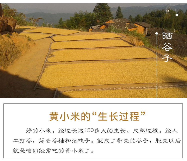  【北京优农】密之蓝天密云本地农家黄小米礼盒（3200g）  邮政农品