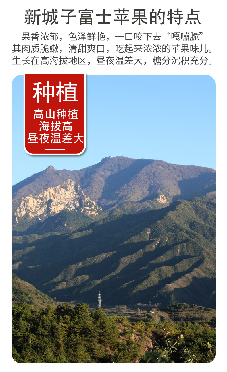  邮政农品 【北京优农】密云密之蓝天高山富士苹果