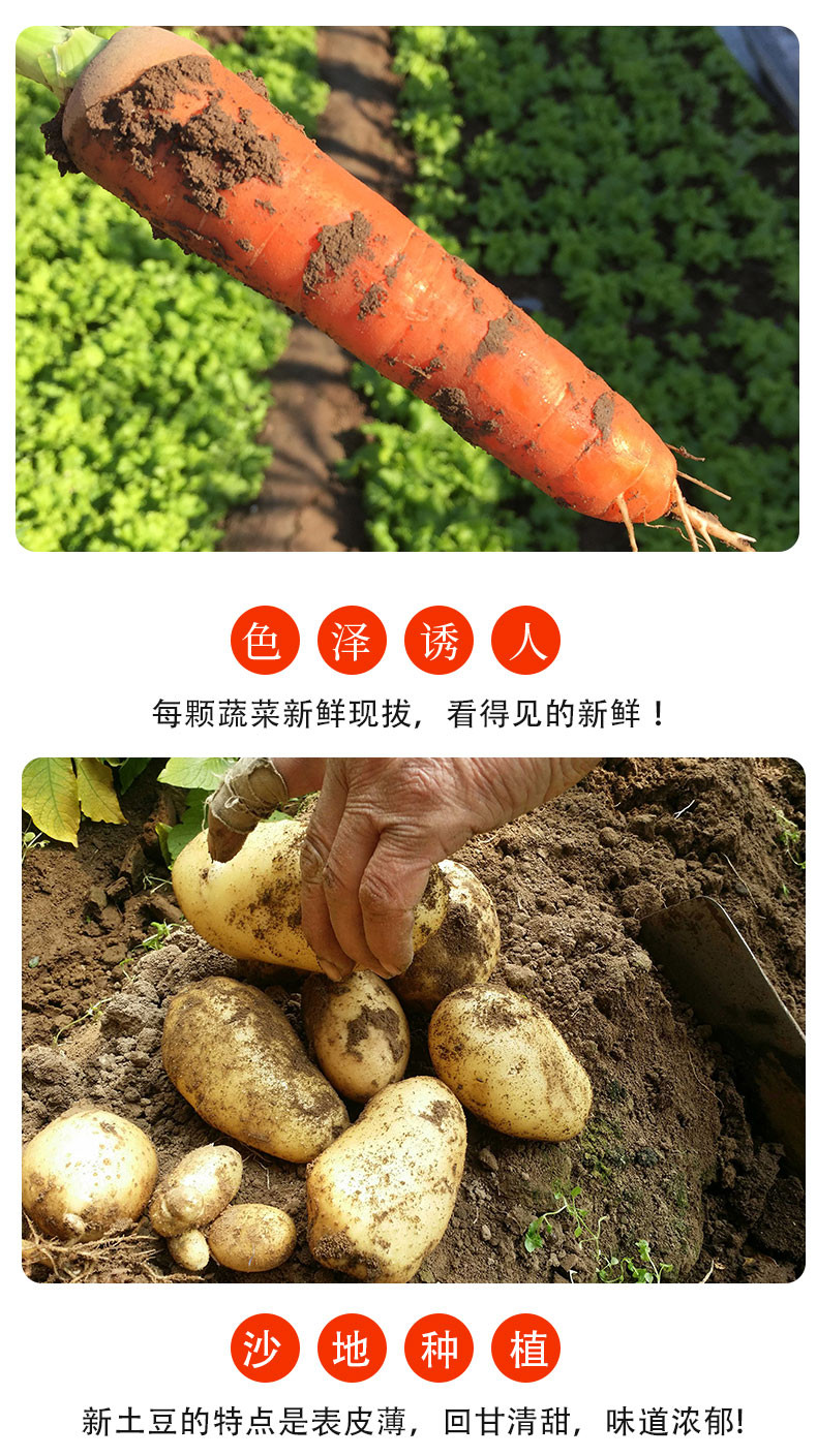  【北京优农】密之蓝天安心蔬菜礼包约13斤 14种时令蔬菜  邮政农品
