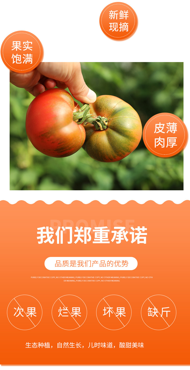  【北京优农】密之蓝天密云本地超级精彩番茄  邮政农品
