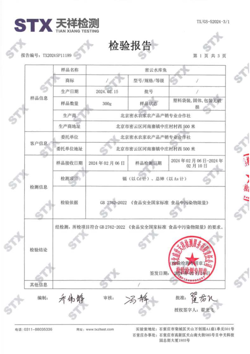 密水农家 密云农家水库胖头鱼约5斤 活鱼宰杀