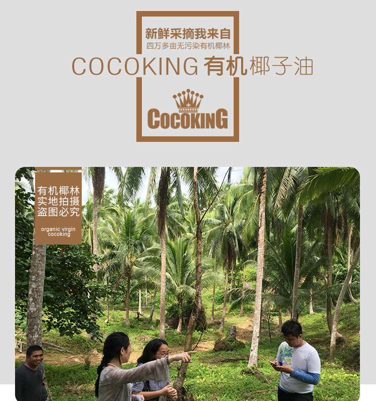 Cocoking椰冠有机物理冷榨椰子油 菲律宾原装进口天然食用油500ml