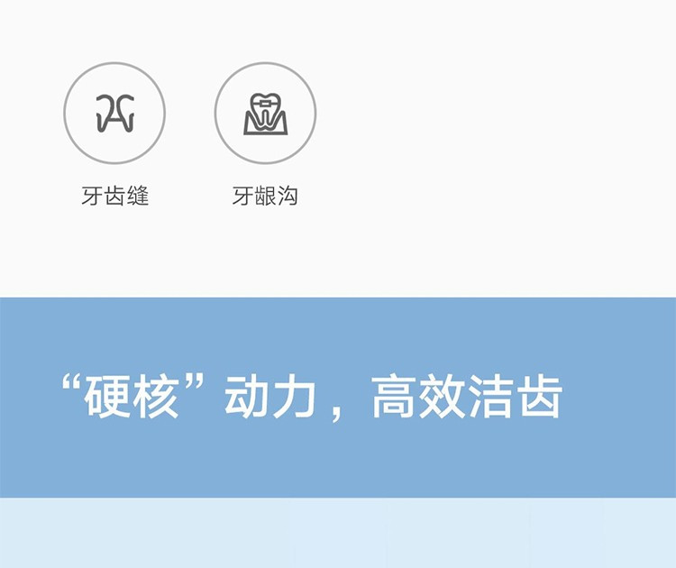 小米/MIUI 米家电动冲牙器家用洗牙器洁牙器水牙线便携式全身水洗可折叠正畸 米家电动冲牙器