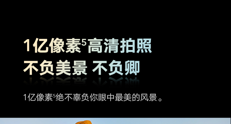 荣耀50 Pro 8+256GB全网通手机 1亿像素超清影像 5G  100W超级快充