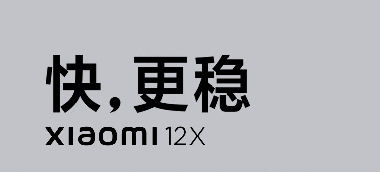 小米12X 骁龙870 黄金手感 6.28英寸视感屏 8GB+256GB  5G手机