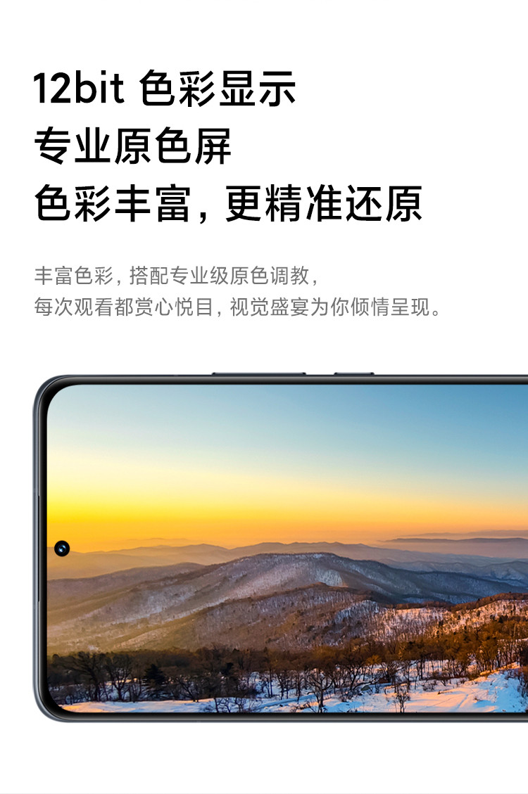 小米12X 骁龙870 黄金手感 6.28英寸视感屏 8GB+256GB  5G手机