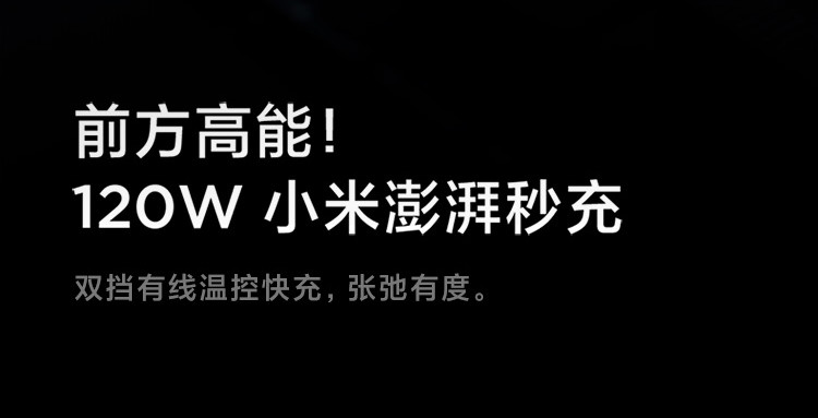 小米/MIUI 12 Pro 骁龙8 Gen1 疾速影像 120W澎湃秒充 12GB+256GB 5G手机