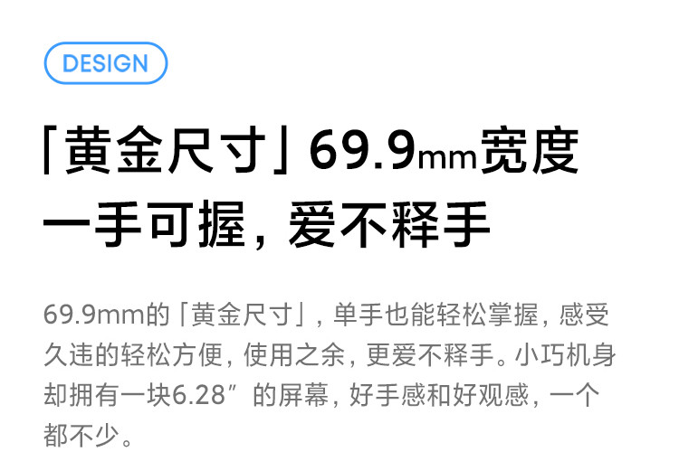 小米12X 骁龙870 黄金手感 6.28英寸视感屏 8GB+256GB  5G手机