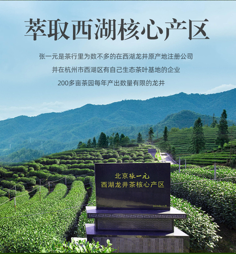 张一元 茶叶中国元素原产地豆香浙江龙井茶新茶50g/罐绿茶茶叶