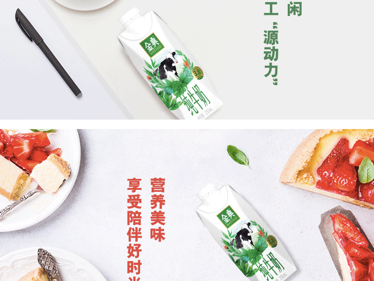 伊利 金典纯牛奶梦幻盖250ml*10盒 3.8g乳蛋白 口感醇香 高端礼盒装