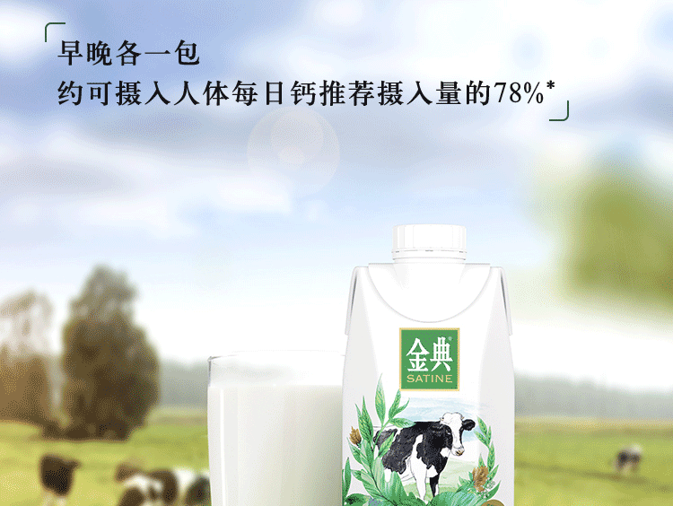 伊利 金典纯牛奶梦幻盖250ml*10盒 3.8g乳蛋白 口感醇香 高端礼盒装