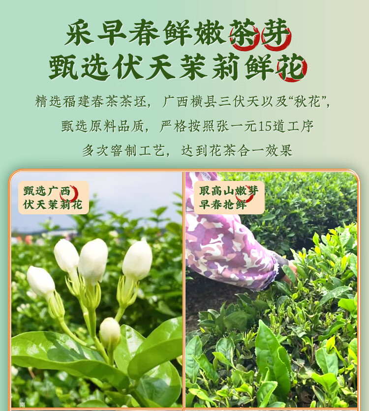 张一元 经典茉莉花茶礼盒480g