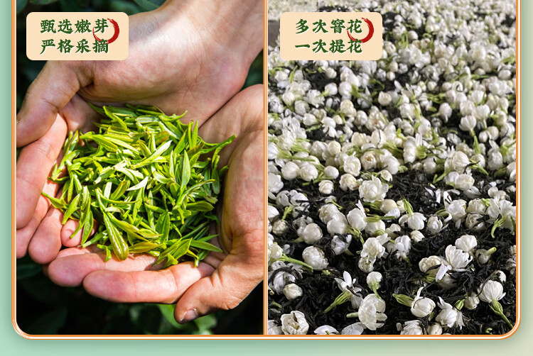 张一元 经典茉莉花茶礼盒480g