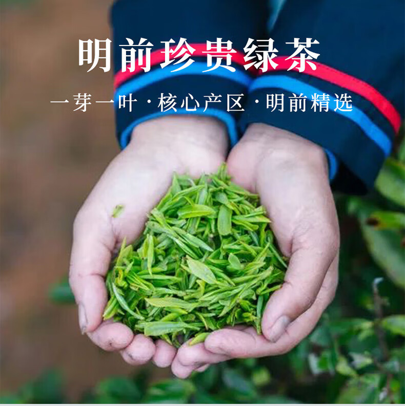 张一元 茉莉龙毫单罐装100g