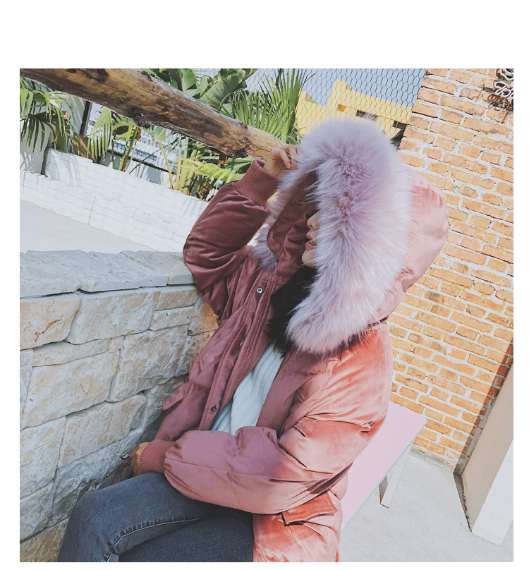 施悦名冬季外套金丝绒棉袄女2018新款韩版中长款大毛领羽绒棉服反季棉衣