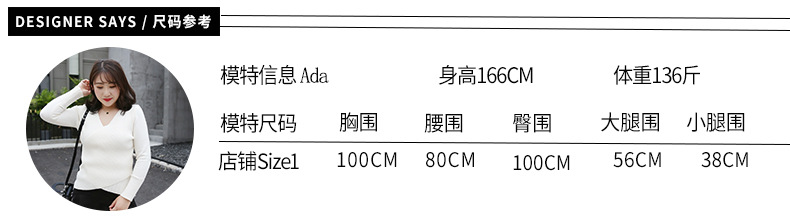 施悦名衬衫女 2018秋冬新品韩版纯色大码女装胖MM立领灯笼袖衬衣