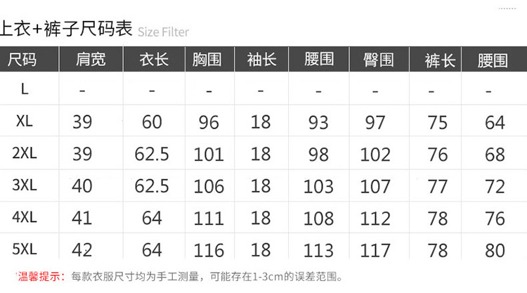 洋湖轩榭 中老年女装夏短袖时尚休闲两件套 妈妈装条纹大码运动套装A