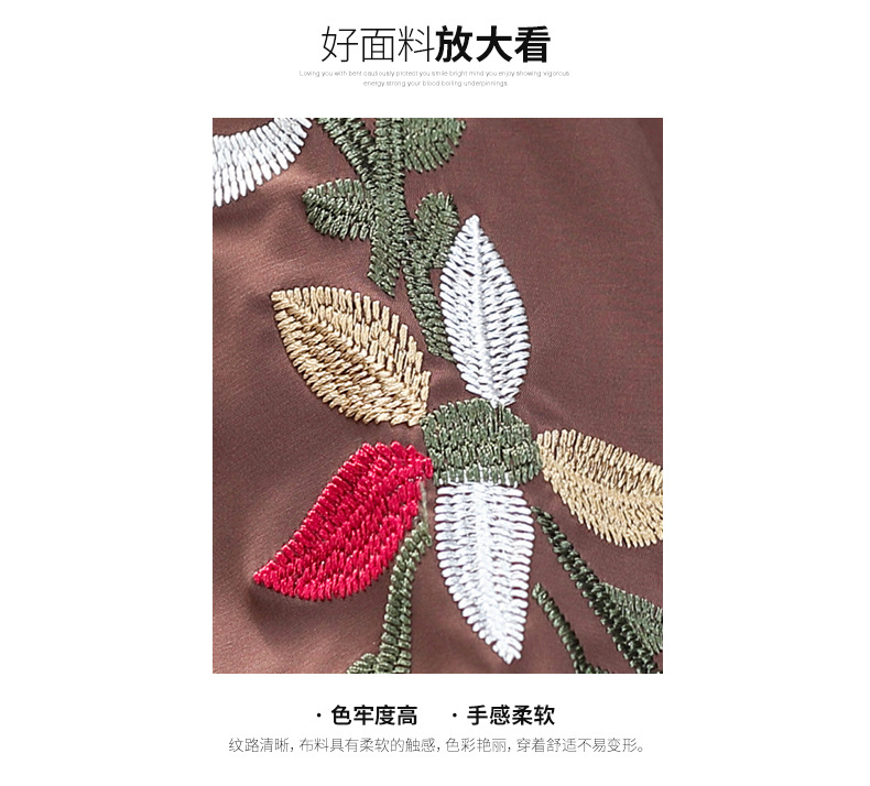 洋湖轩榭 妈妈装秋装外套短款外衣春秋2019新品40-50岁中老年女薄款夹克衫A