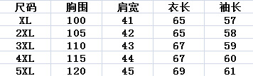 洋湖轩榭 2019春秋新品外套40岁60中年女气质夹克衫休闲连帽中老年 妈妈装A