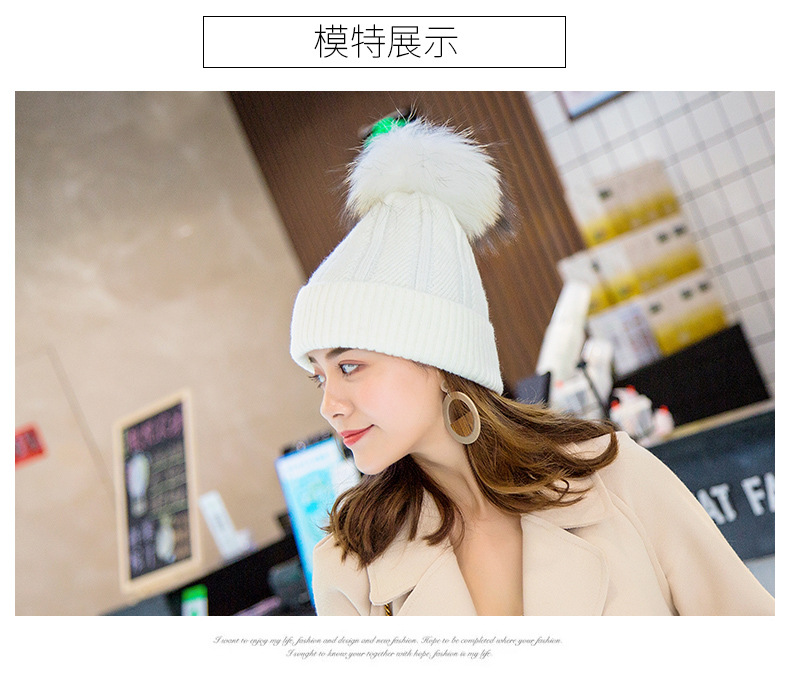 施悦名 冬季韩版新款保暖貉子毛球针织帽 女大球护耳朵毛线帽子A