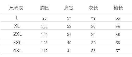 洋湖轩榭 中老年女装春装大码两件套装中年妈妈中长款外套女上衣2019新款潮A