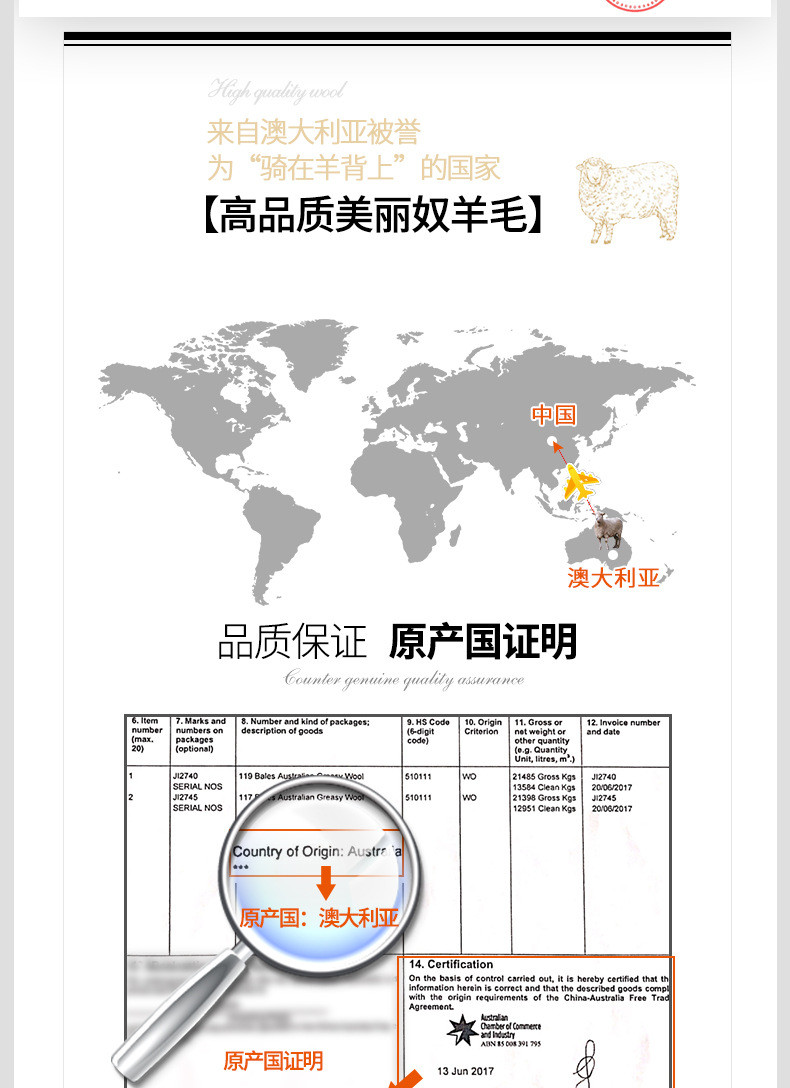 汤河店  帽子秋冬新款画家帽子女羊毛帽空姐礼帽贝雷帽羊毛C