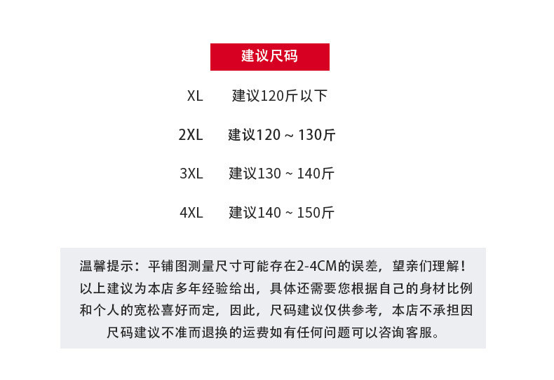 洋湖轩榭 2020夏新款中老年女装雪纺连衣裙宽松修身开叉舒适透气大码妈妈装C